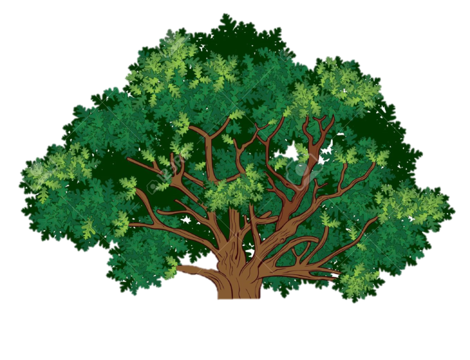 Красивое дерево для детей