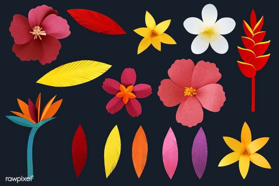 Тропические цветы из бумаги