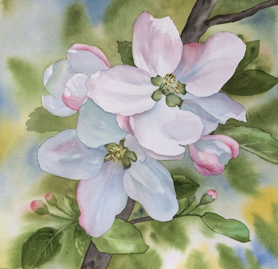Яблоневый сад в цвету акварель