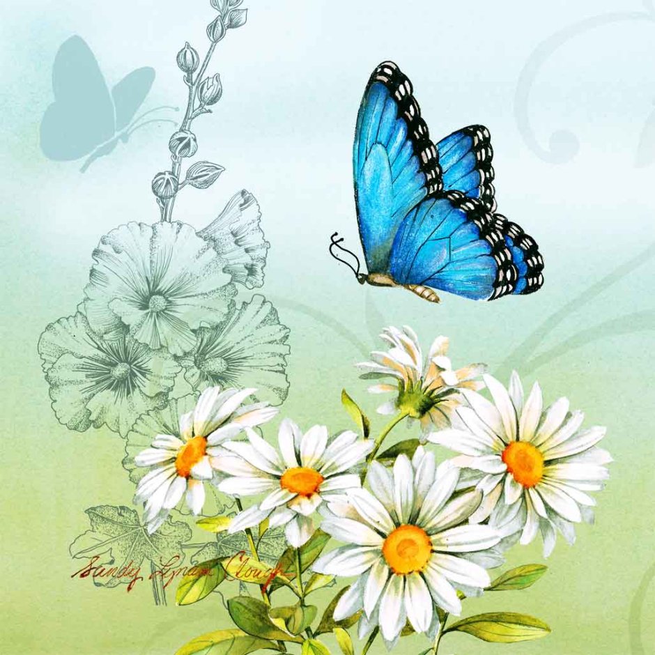 Бабочки в цветах