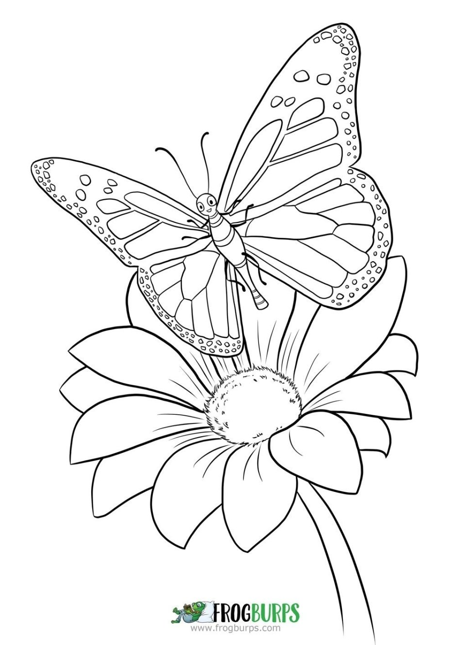 Раскраска "бабочки"