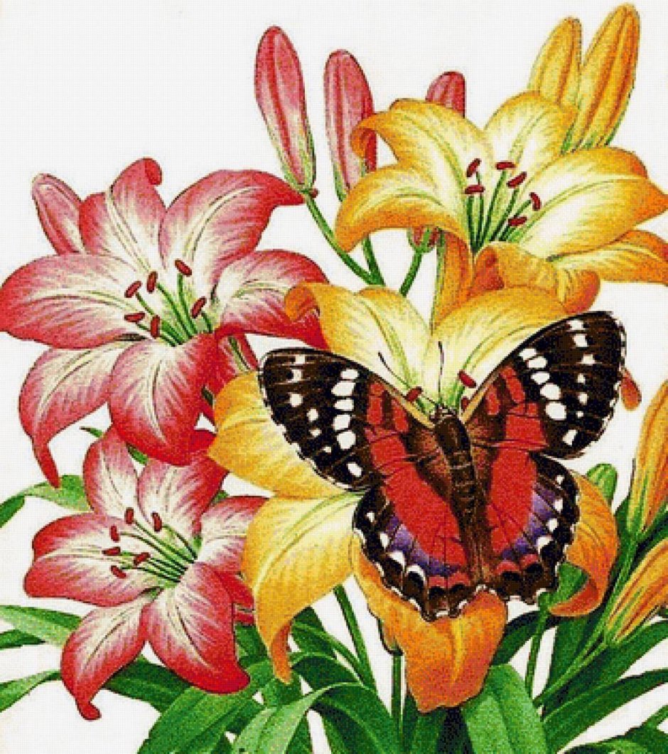 Бабочка на цветке иллюстрация