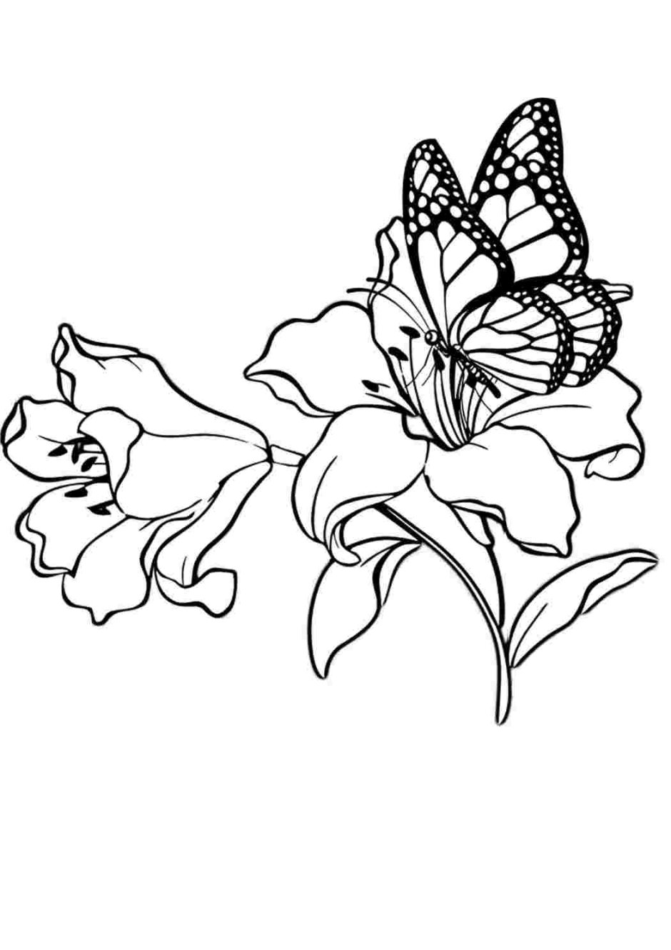 Бабочка на цветке рисунок