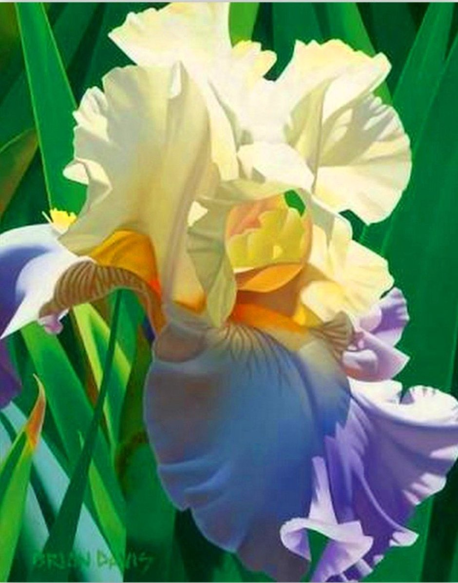 Живопись Брайан Дэвис цветы