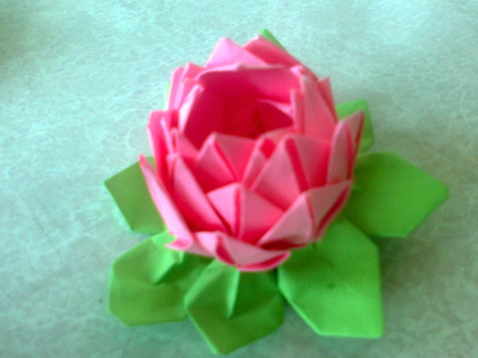 Цветок лотоса из бумаги