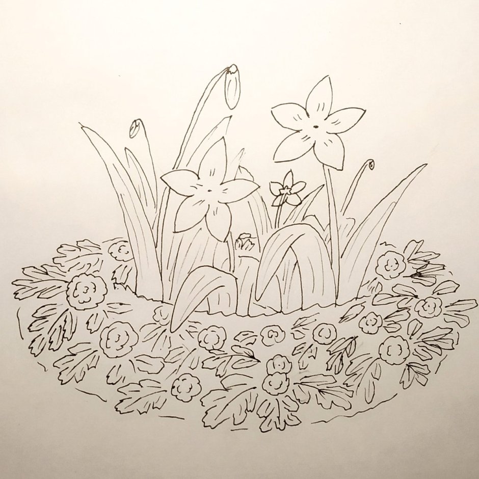 Эскиз цветочной клумбы