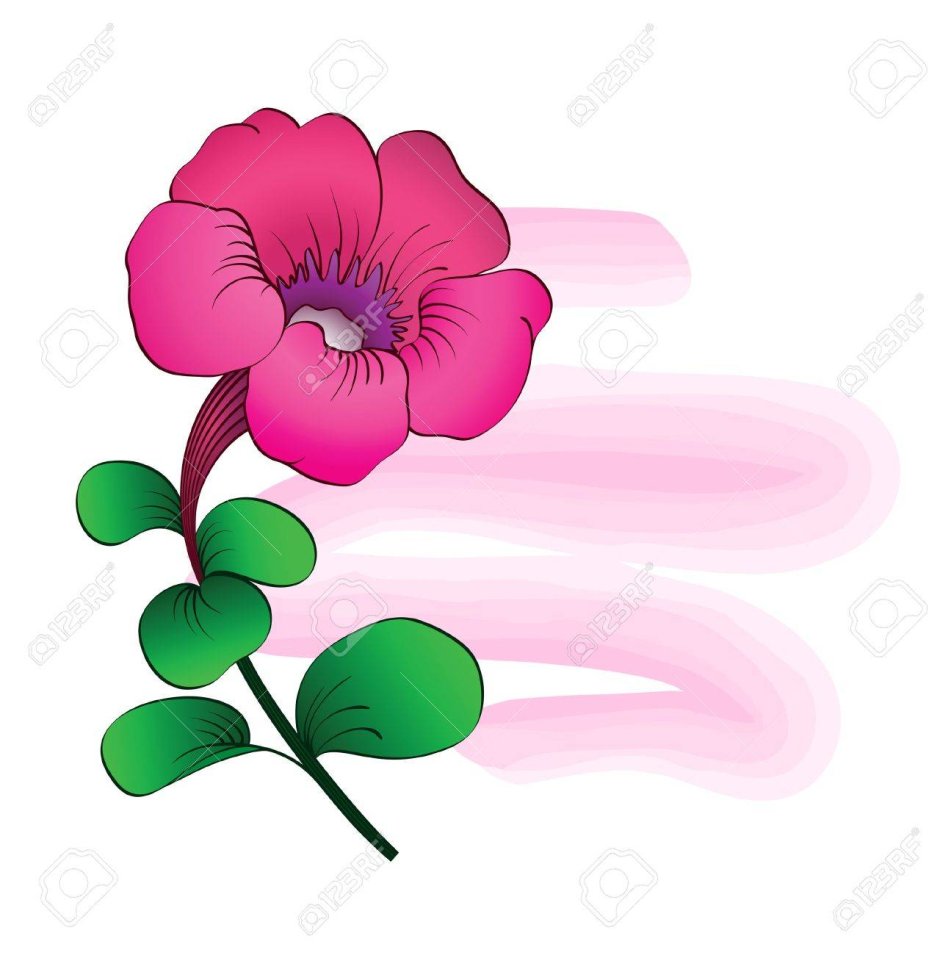 Карточка петуния цветов для детей