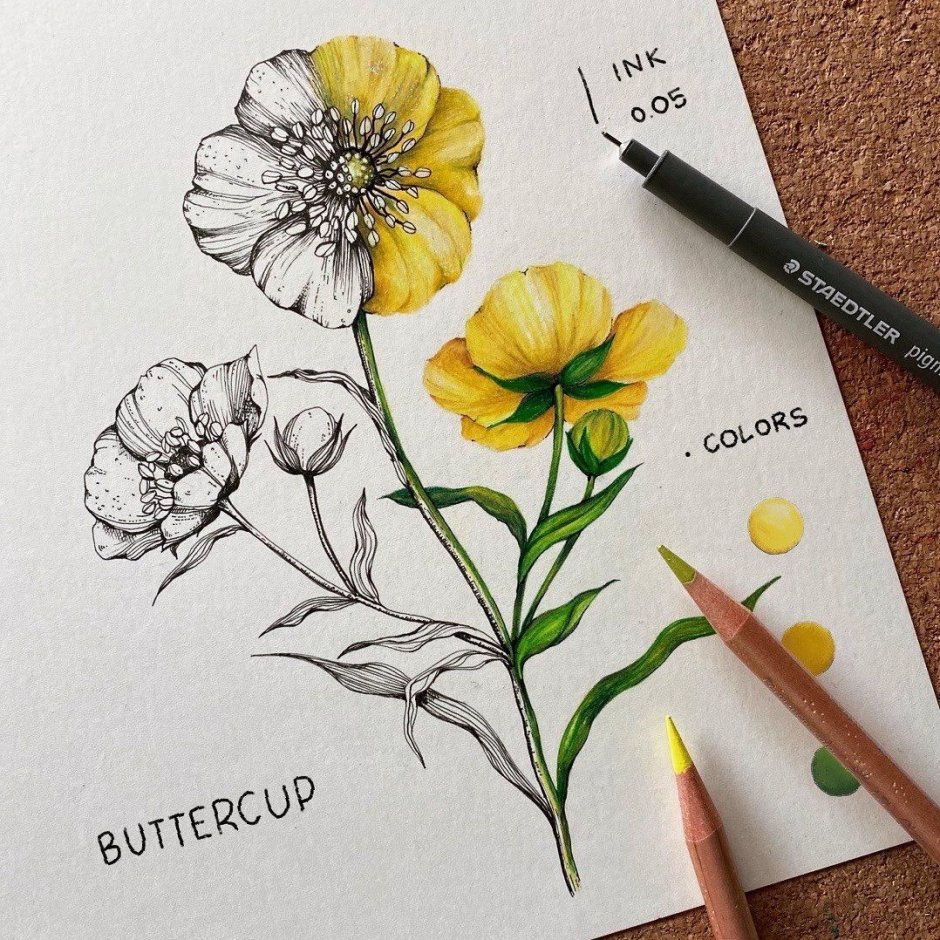 Рисунок цветными карандашами цветы