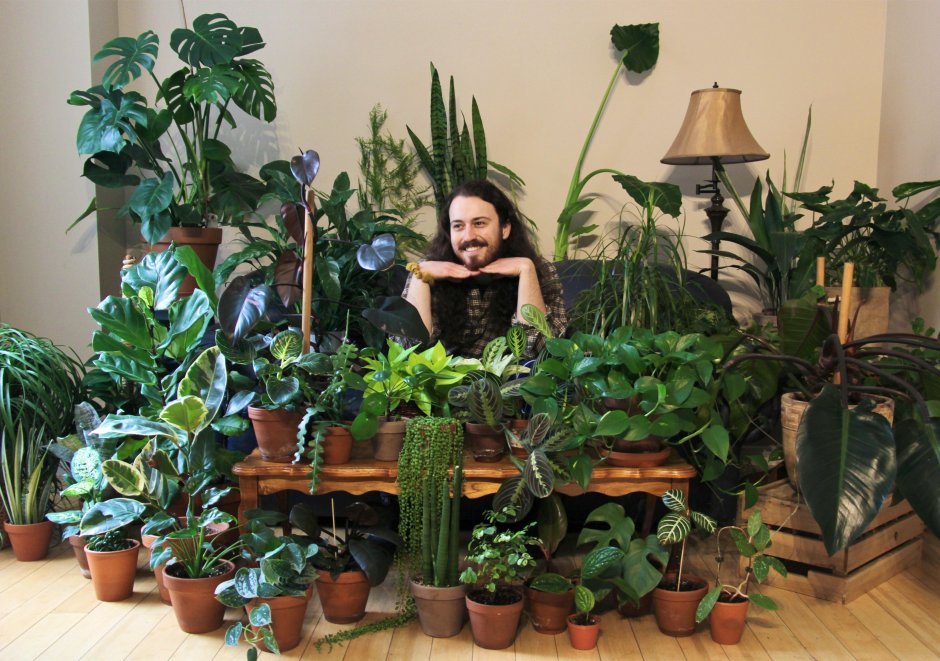 Любители комнатных растений