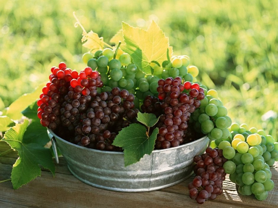 Виноград (ягода)