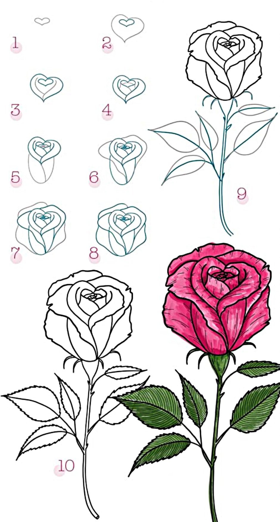 Лёгкие рисунки розы