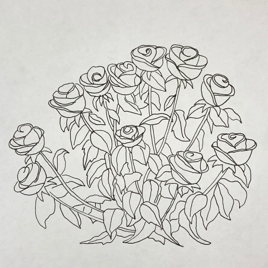 Роза в горшке рисунок