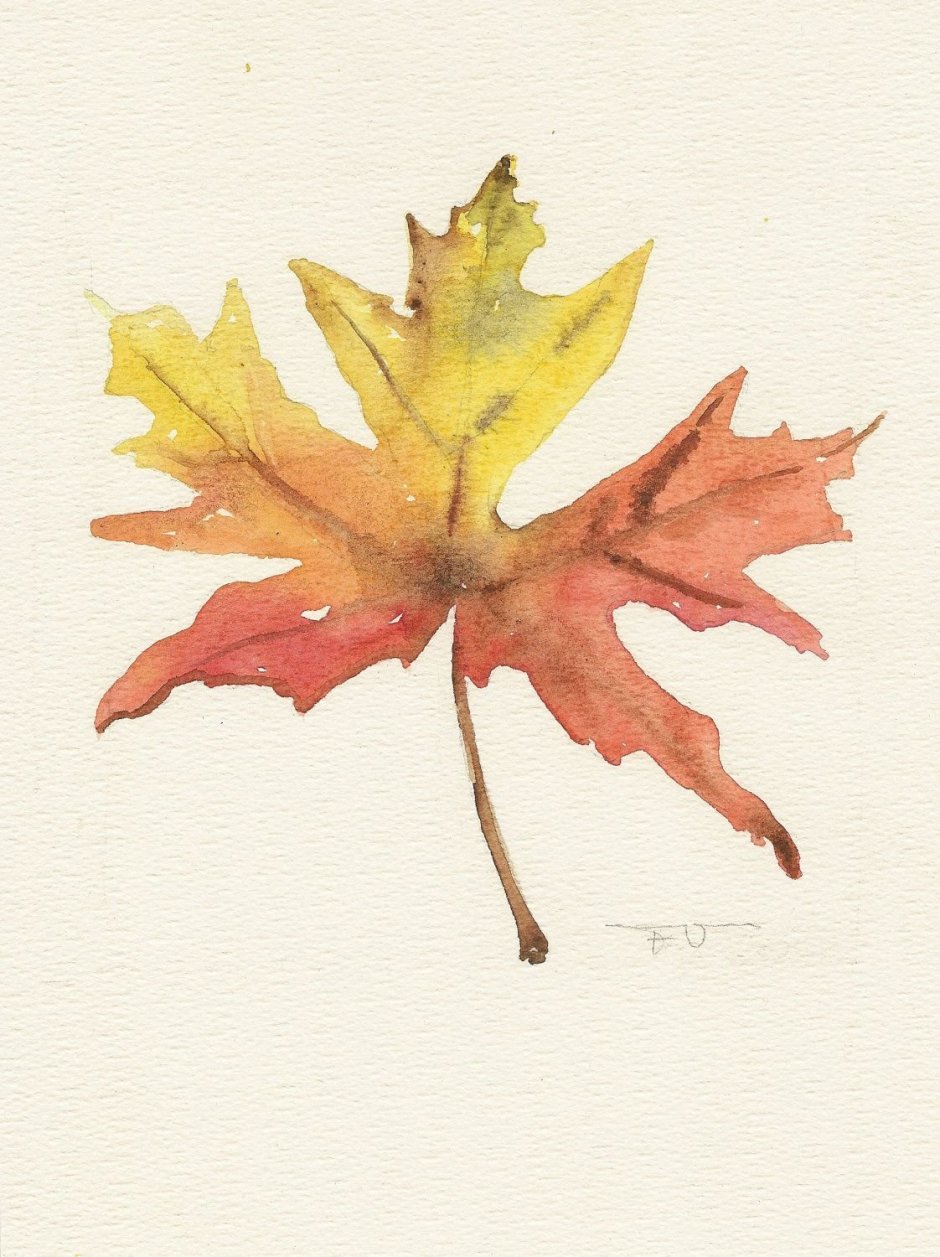 Этюд осенних листьев акварель