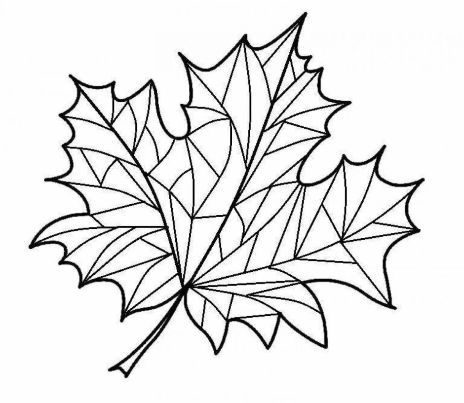 Раскраска кленовых листьев