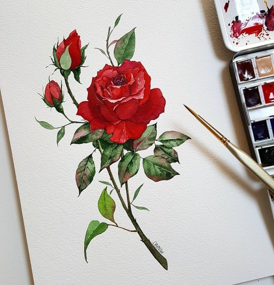 Розы в вазе рисунок