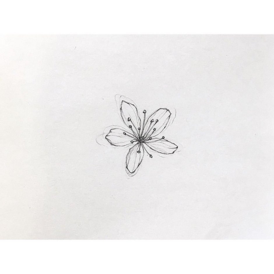 Маленький цветочек рисунок