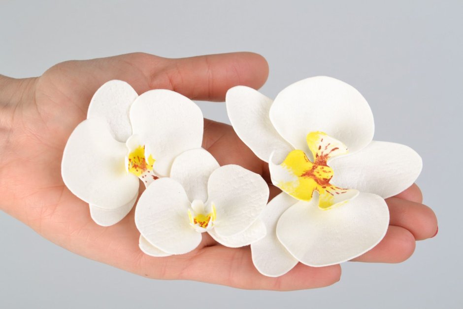 Орхидея фоамиран