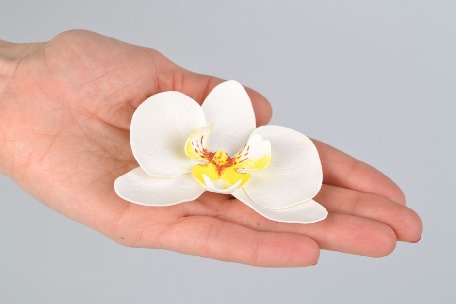 Цветы из фоамирана Орхидея