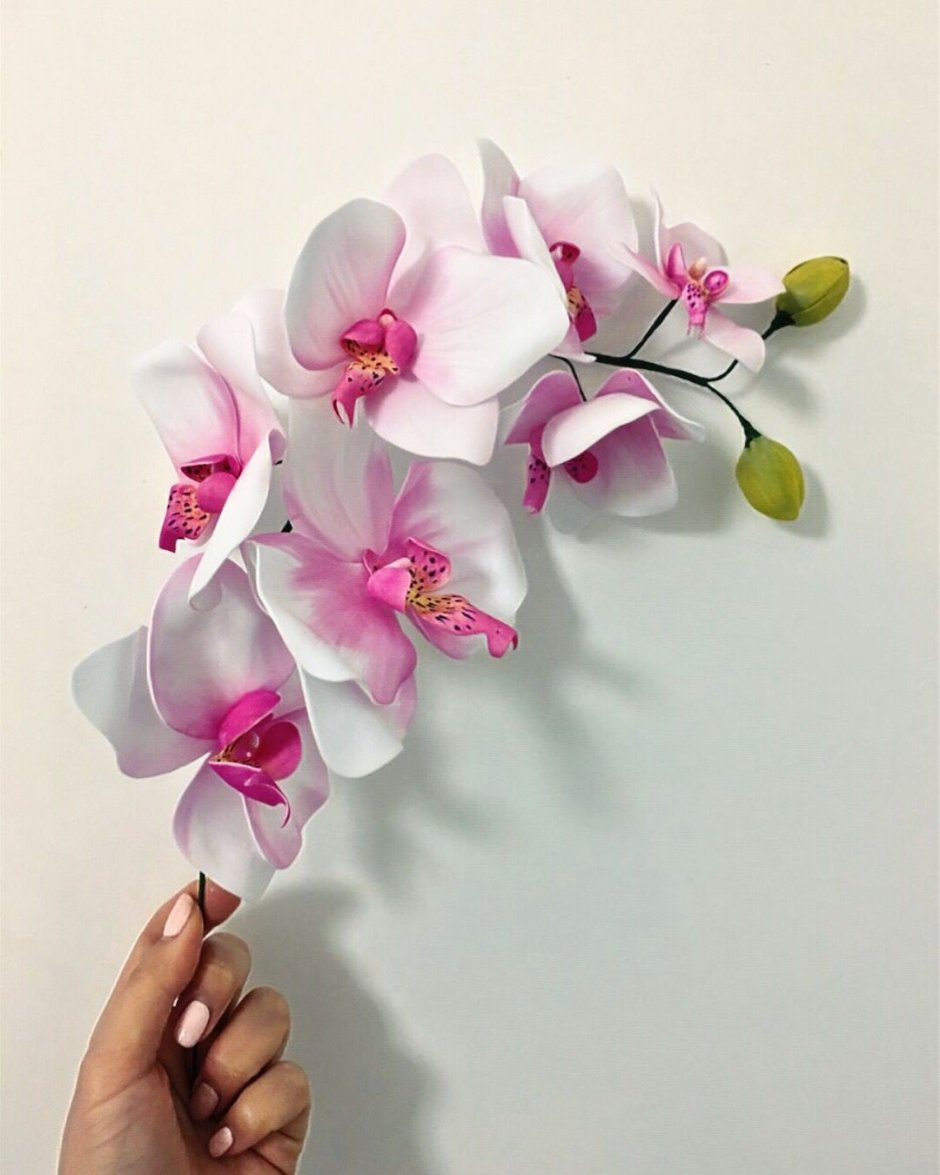 Орхидея фоамиран