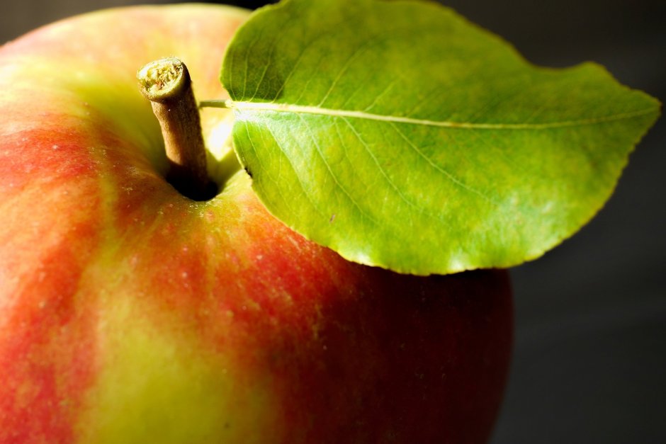 Яблоко с листочком