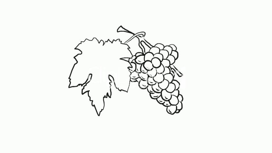 Лист винограда раскраска