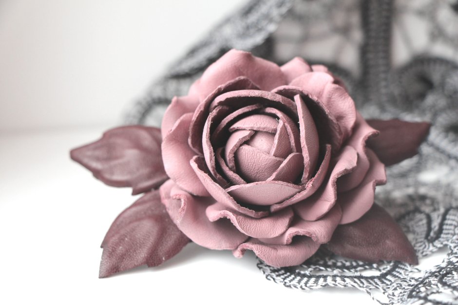 Пыльная роза цвет