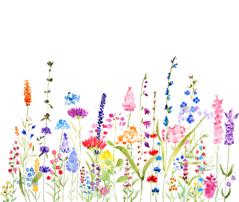 Цветы рисунок акварелью
