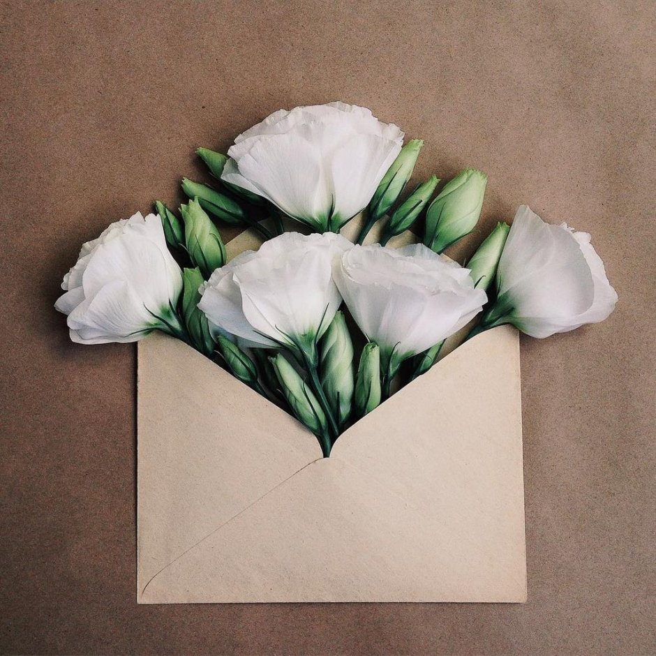 Цветы в конвертике