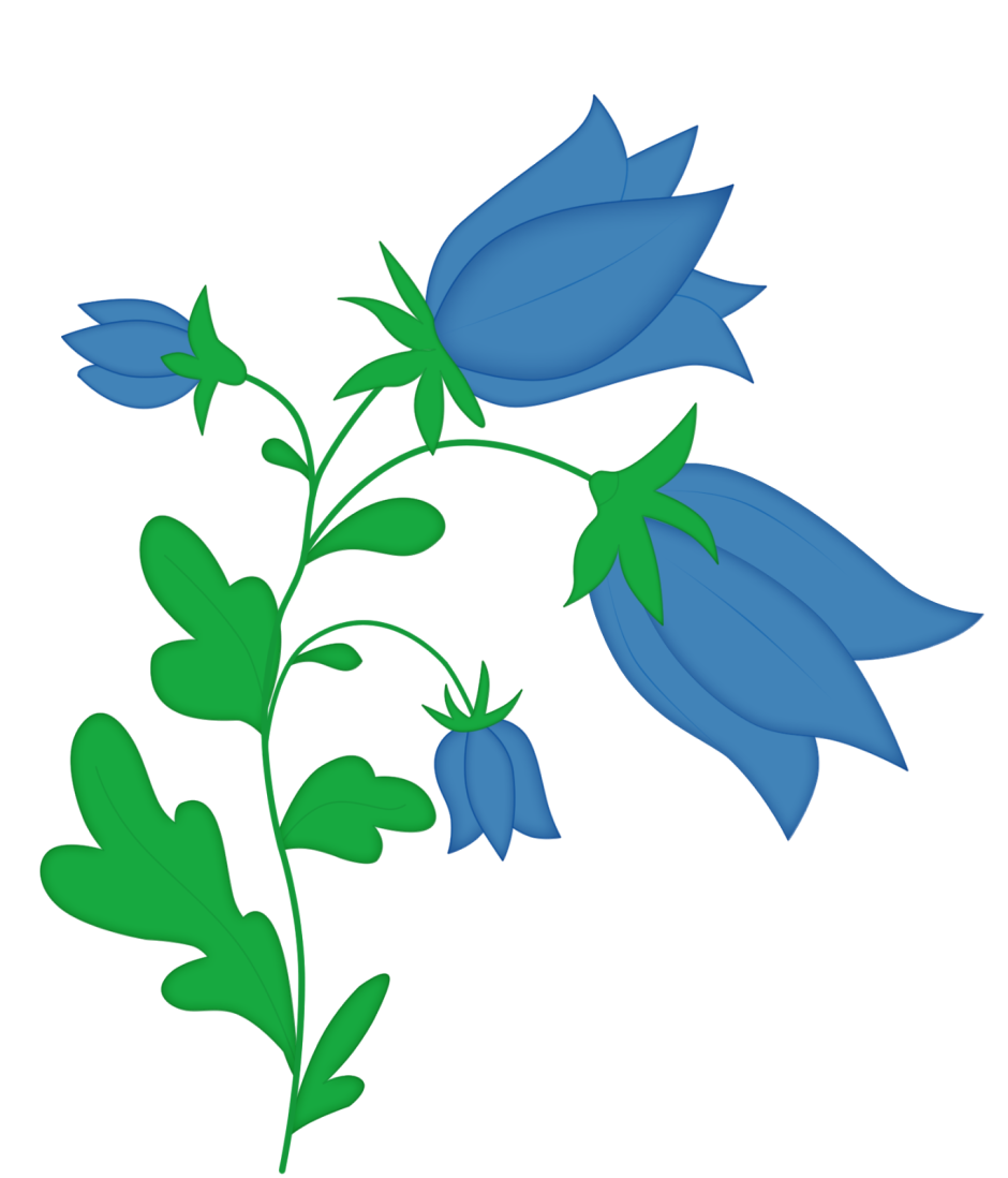 Колокольчик цветок рисунок для детей
