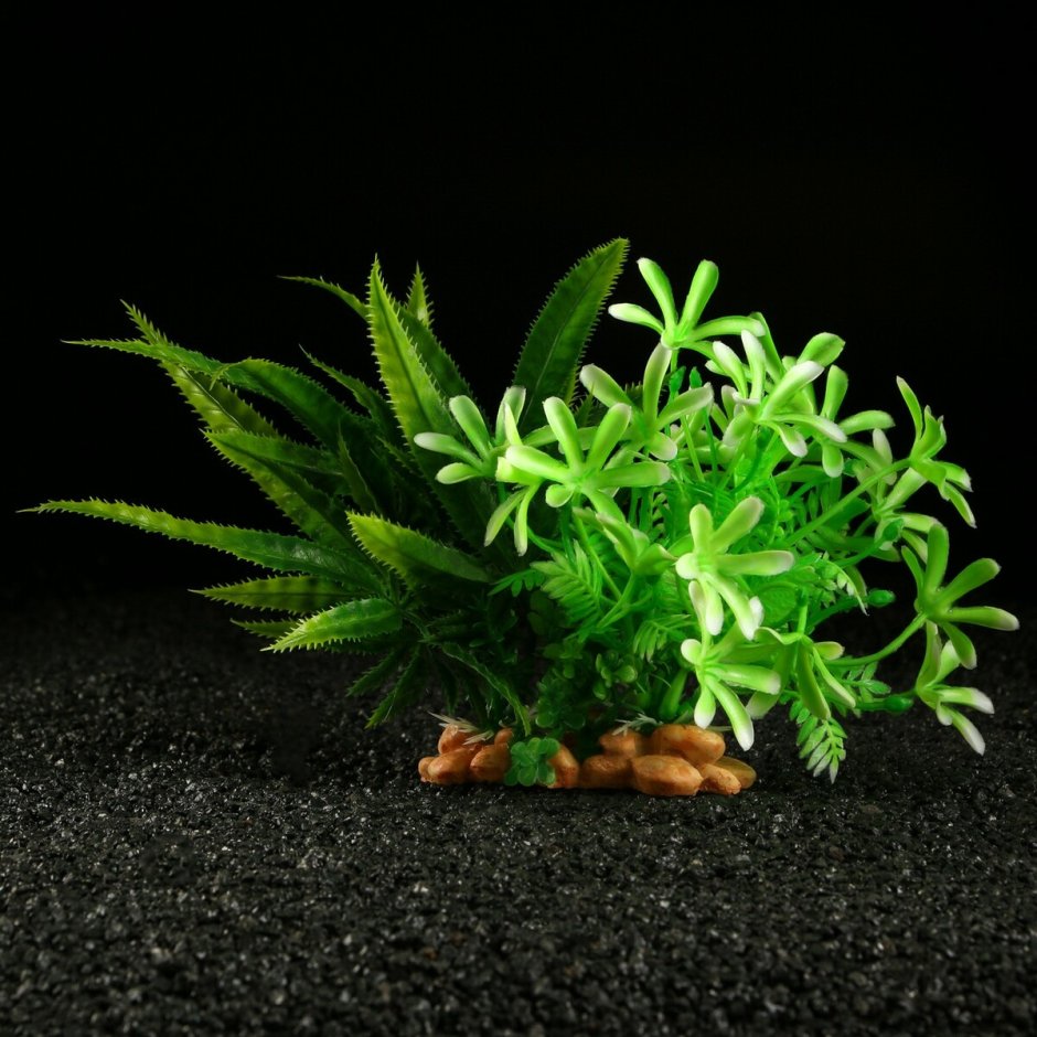 Растение искусственное аквариумное, 20 х 14 см пижон Аква