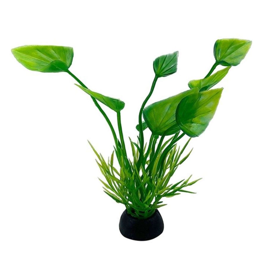 Растение Plant 032 Горгонария красная 50 см Plant 032/50