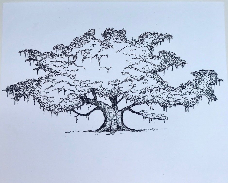 Дерево арт карандашом