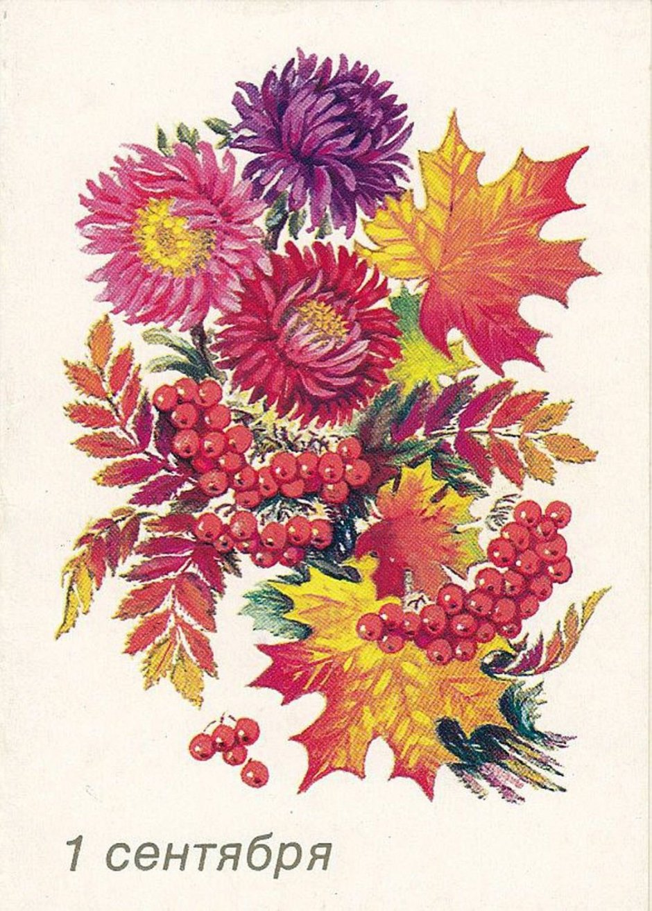 Осенний букет цветов рисунок