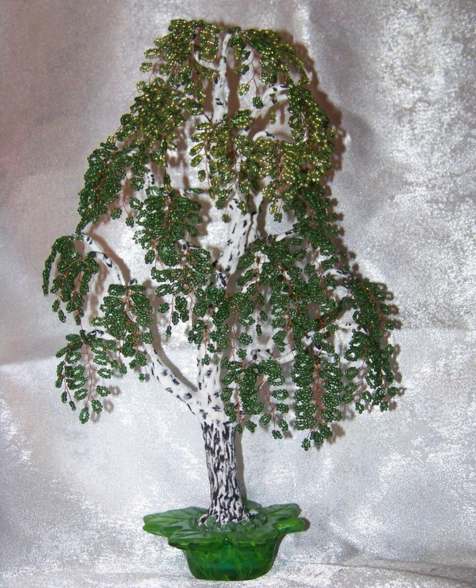 Бисерное дерево береза Лапландия