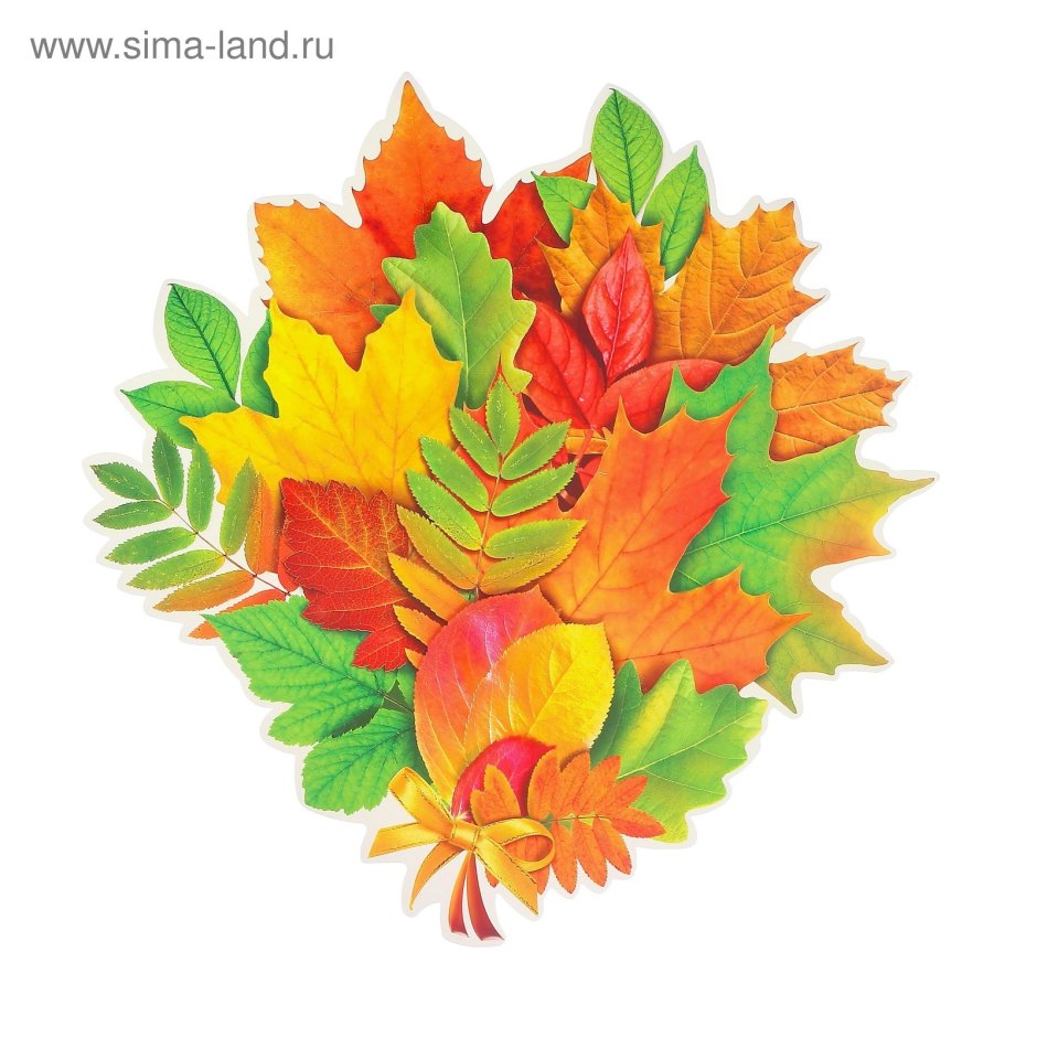Осенние букет из листьев для детей