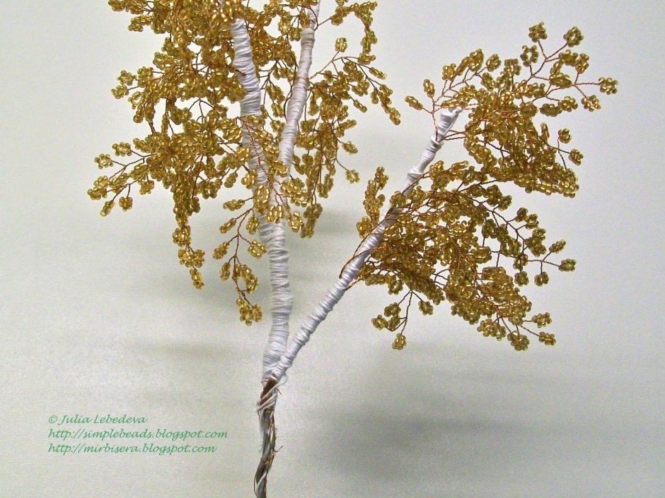 Бисерное дерево береза Лапландия