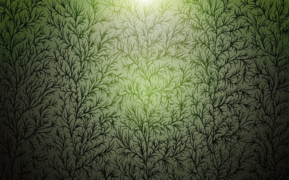 Зеленый орнамент