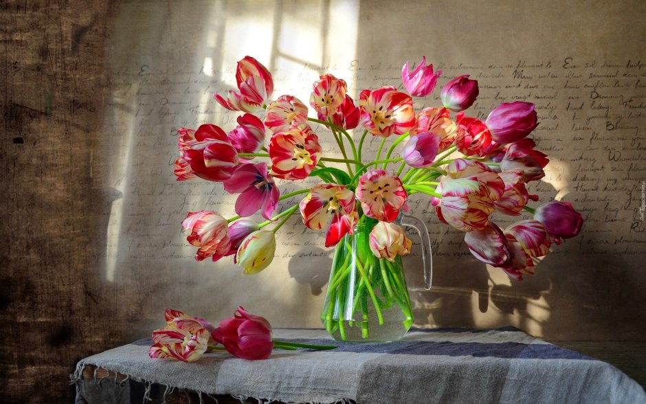 Тутунов цветы тюльпаны