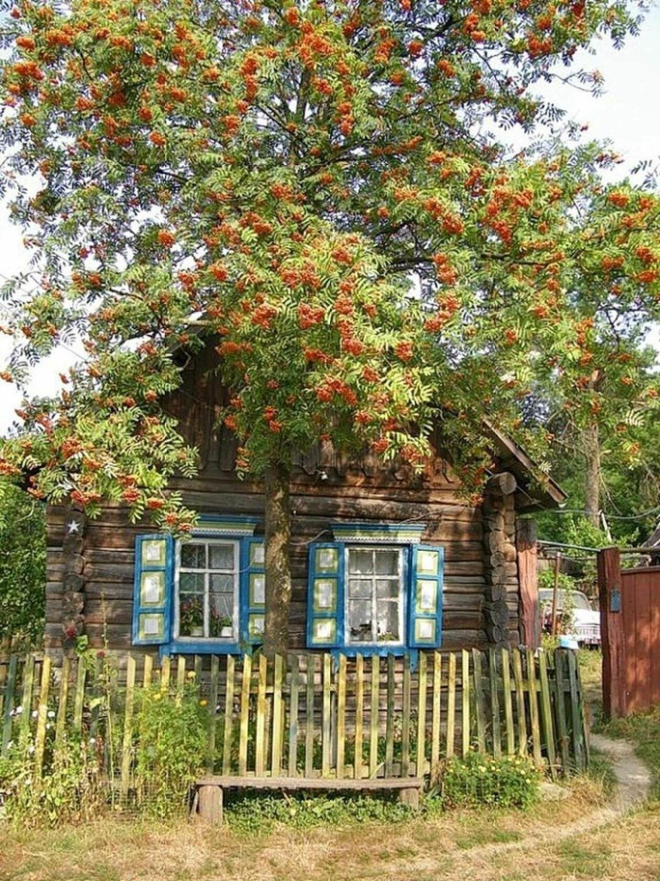 Красивый деревенский домик