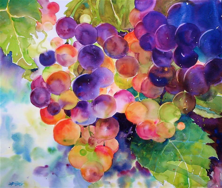 Гроздь винограда акварель