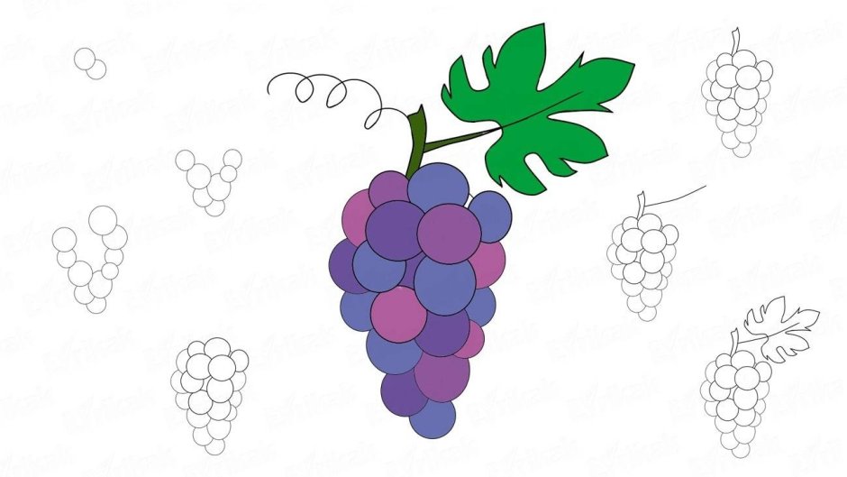Поэтапное рисование винограда