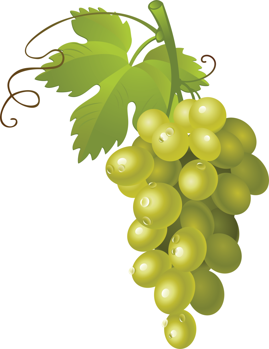 Картина гроздь винограда. Винограда