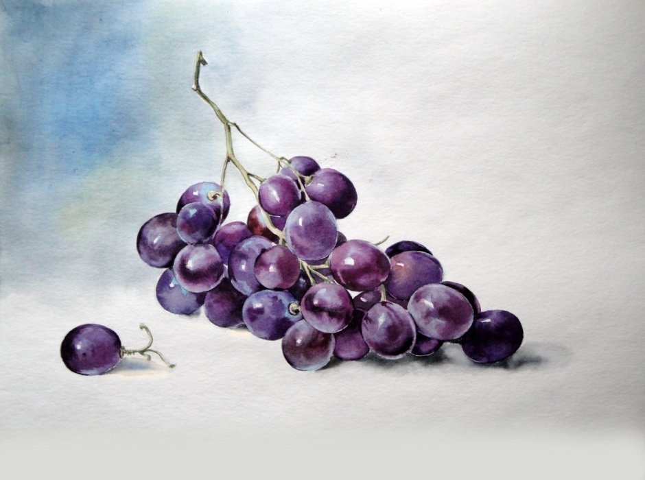 Андрияка виноград акварелью