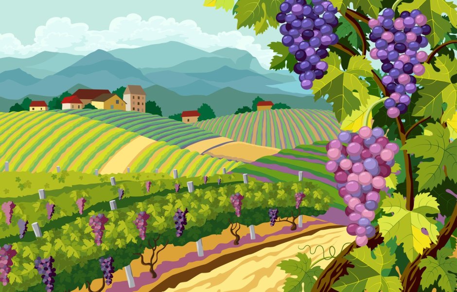 Картина виноградники