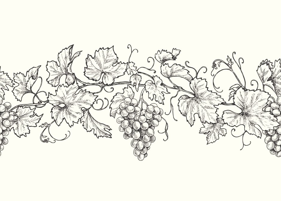 Виноград орнамент