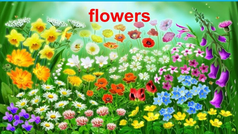 Полянка с цветочками