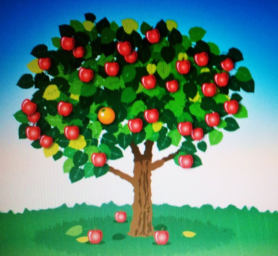 Яблоки на дереве
