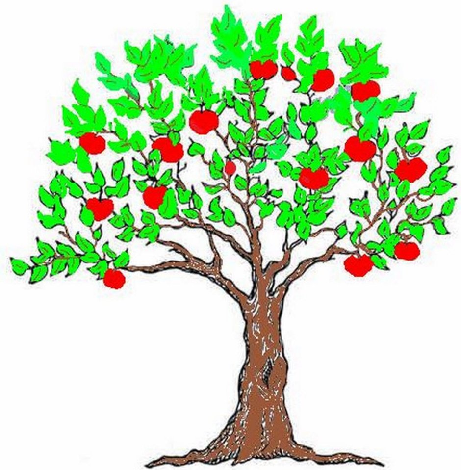 Дерево яблоня рисунок