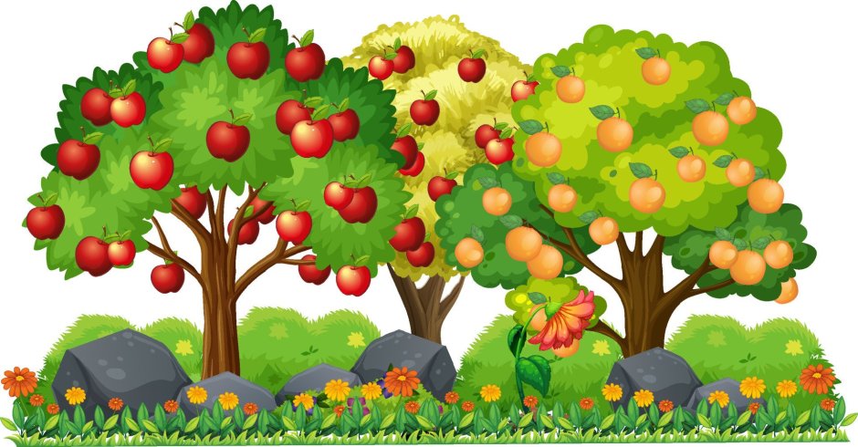 Дерево с яблоками картинка для детей