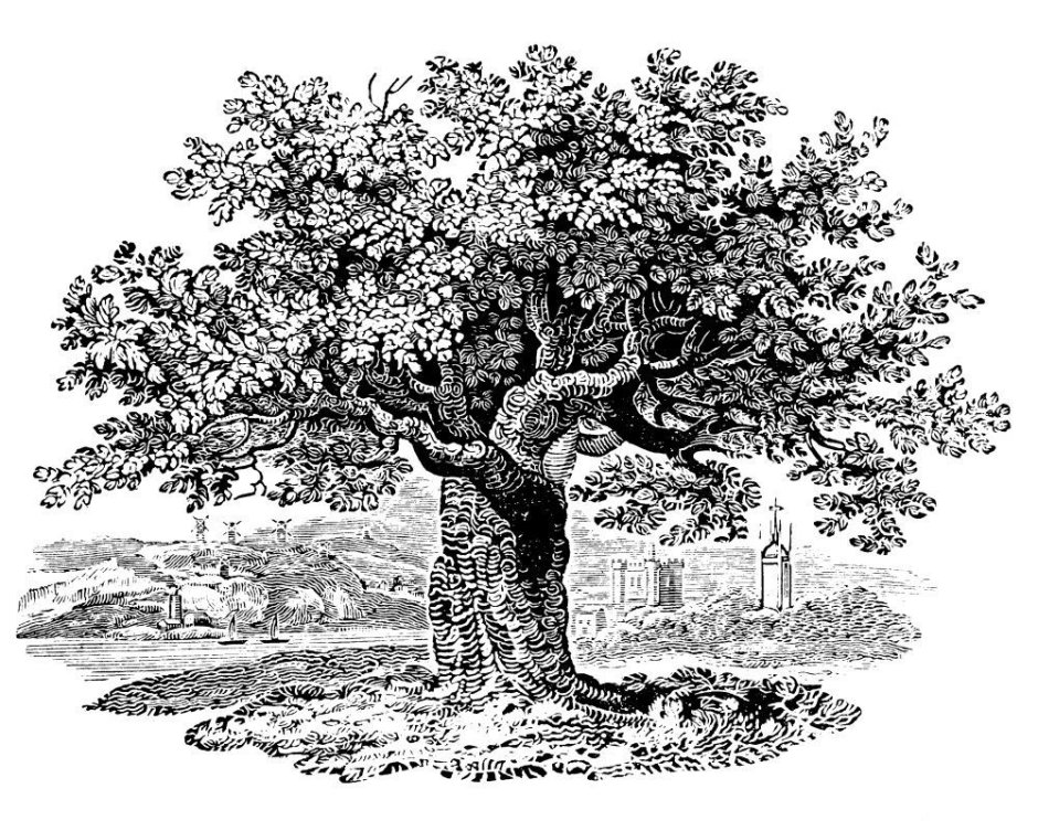 (Офорт «дерево с повешенными» Калло